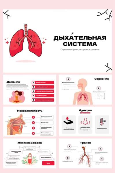 Презентация на заказ