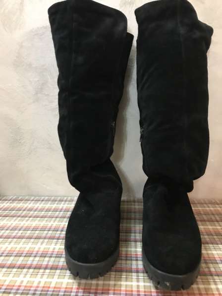 Ботфорты замшевые