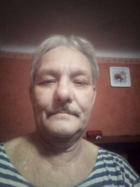 Александр, 62 года, хочет познакомиться – Ищу девушку(женщину) 25 - 45 лет в Мичуринске фото 3