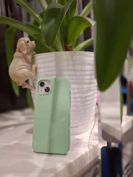 Apple iPhone 13 в Новосибирске фото 7