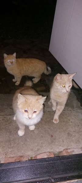 Срочно нужна помощь !!!