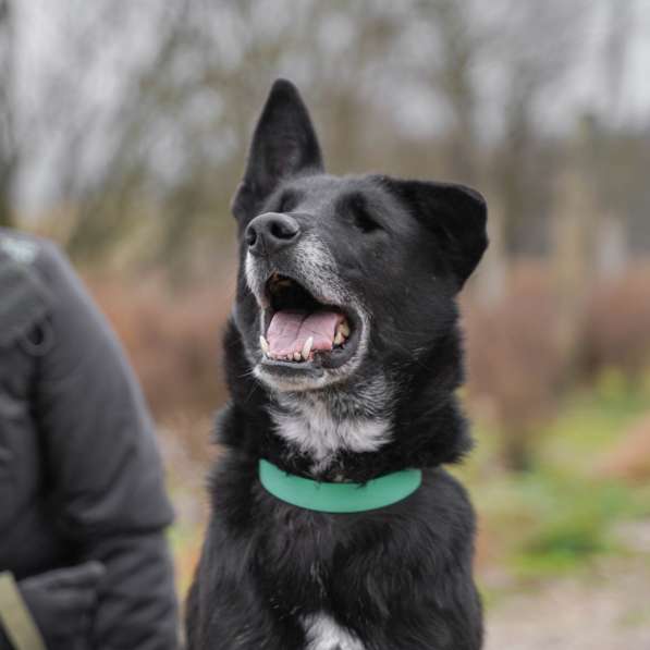 Уникальная Шерри в Москве фото 31