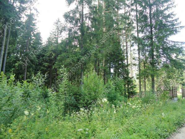 realty_mapper3.plot_in_locationСадовое некоммерческое тов-во. Площадь 20.00 сот.Есть Электричество. в Москве фото 21