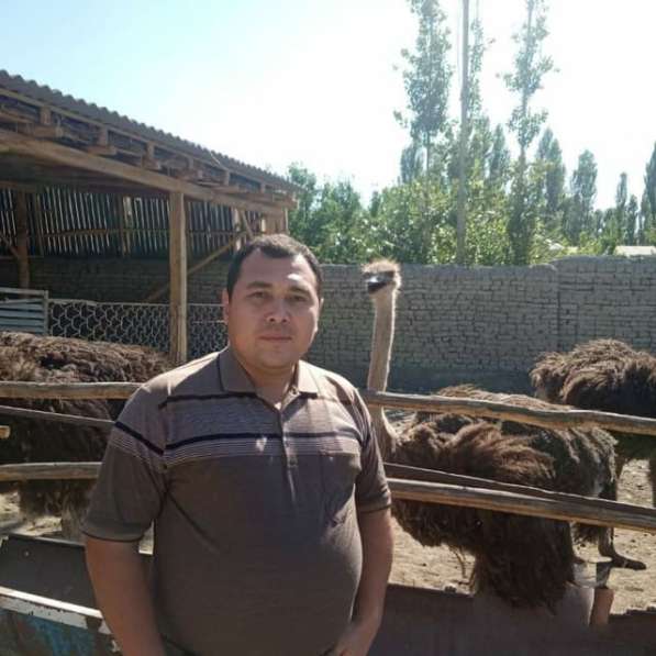 Азизбек, 36 лет, хочет пообщаться в фото 5
