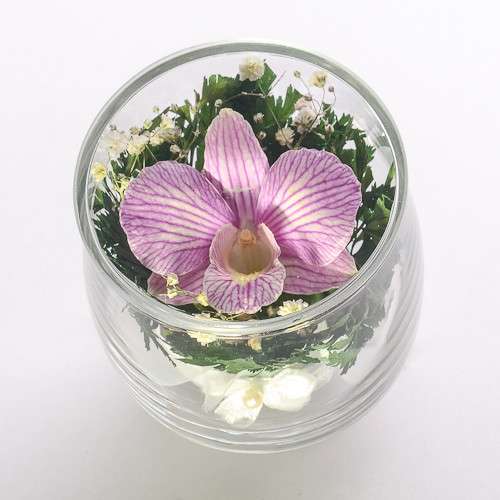 Орхидеи фиолетовые светлые в Москве фото 12