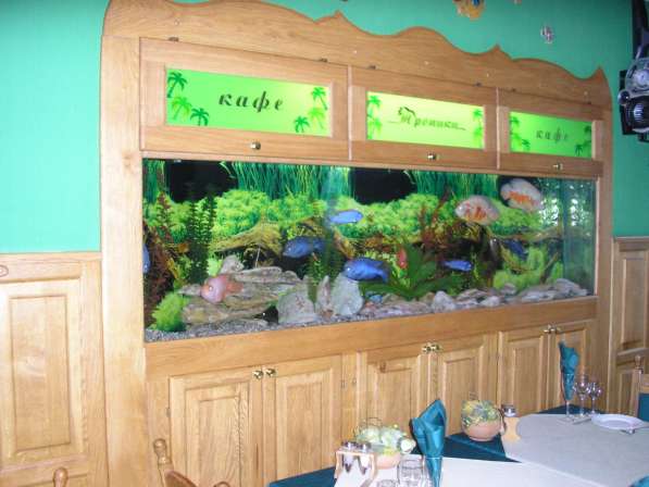 Обслуживание аквариумов в Донецке