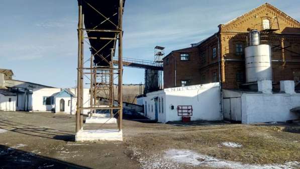 Готовый бизнес - Мукомольный завод продаю в Ульяновске фото 9