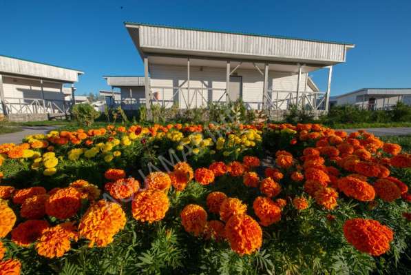 Туры на Алаколь базы отдыха в фото 3