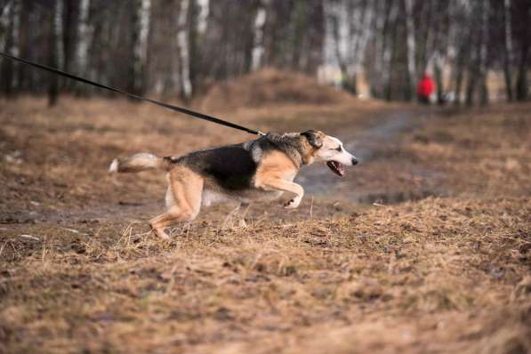 Молодой энергичный Майор ищет семью в Москве фото 52