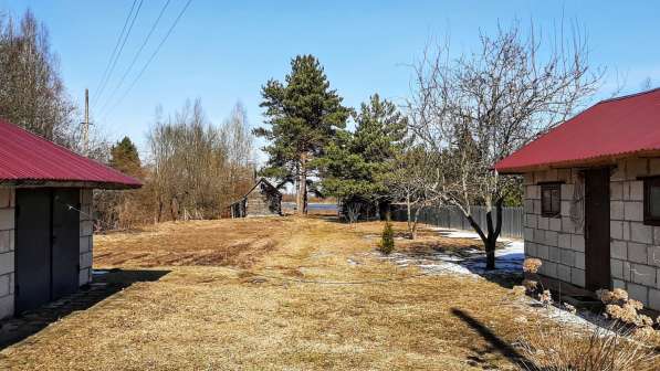 Зимняя дача на берегу живописного озера в Пскове фото 22