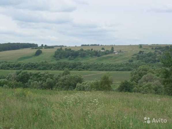 Участок 15 соток