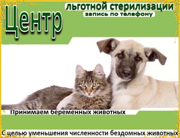 Центр льготной стерилизации в Иркутске