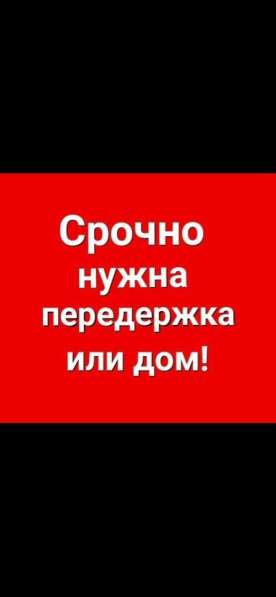 Помощь пострадавшим животным