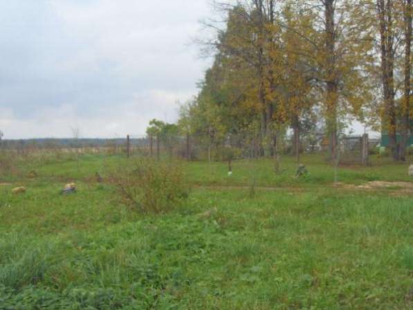 Продаётся земельный участок 60 соток в деревне Настасьино, Можайский р-он, 120 км от МКАД по Минскому и Можайскому шоссе.