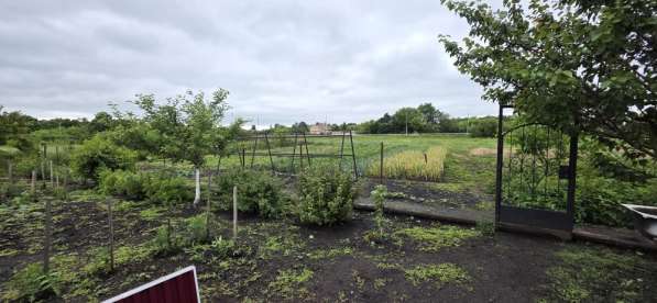 Продам дом в с. Становое в Елеце фото 11