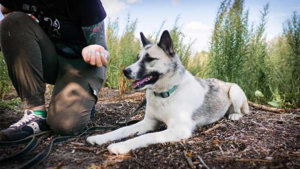 Суперактивная Халва в Москве фото 41