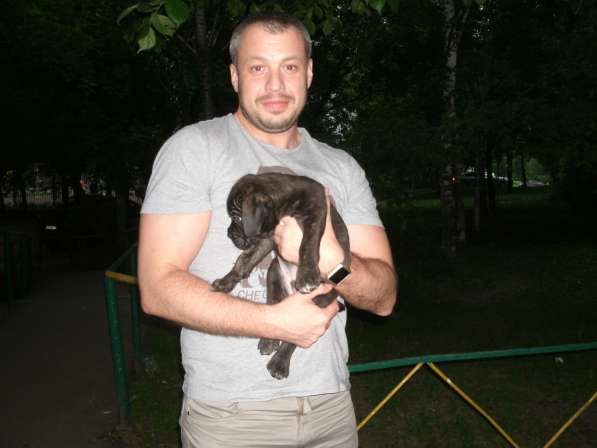 Выбор щенка в Москве фото 5