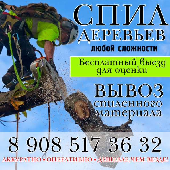 Спил деревьев