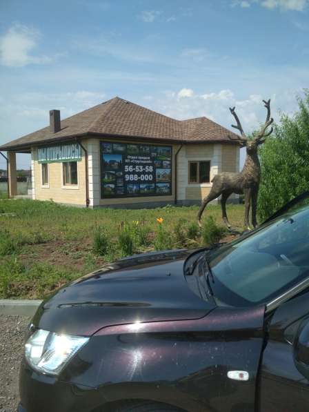 Участок в КП "Стругацкий" в Волгограде фото 8