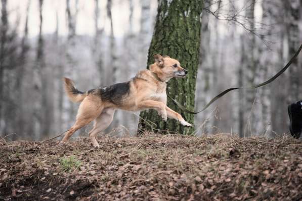 Харизматичный Марк ищет дом в Москве фото 40