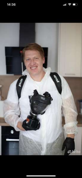 Уничтожение тараканов, клопов, грызунов, устранение плесени в Москве