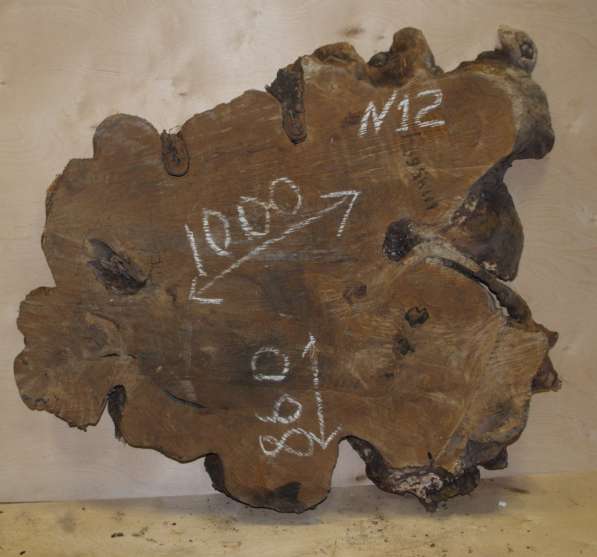 Каштан слэб