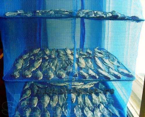 Сетка сушилка овощная подвесная 50x50x65 складная для рыбы в Москве
