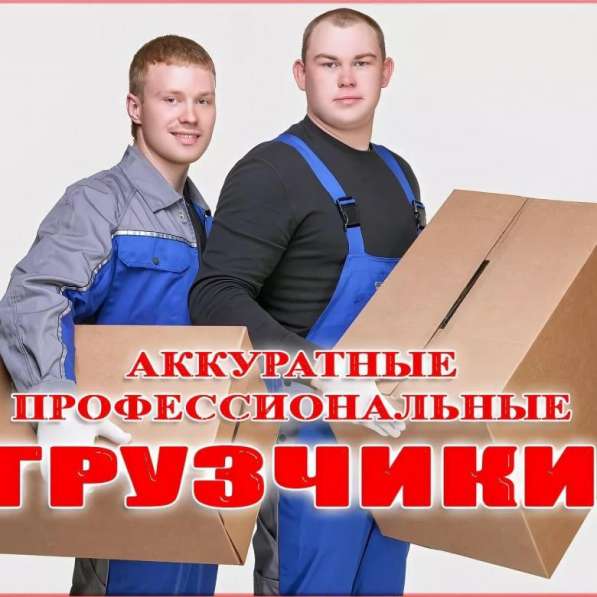 Грузчики в Белгороде