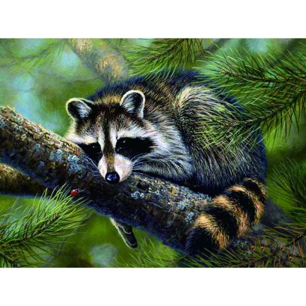 Алмазная мозаика в Санкт-Петербурге фото 3