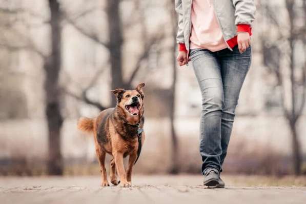 Рада ищет дом в Москве фото 11