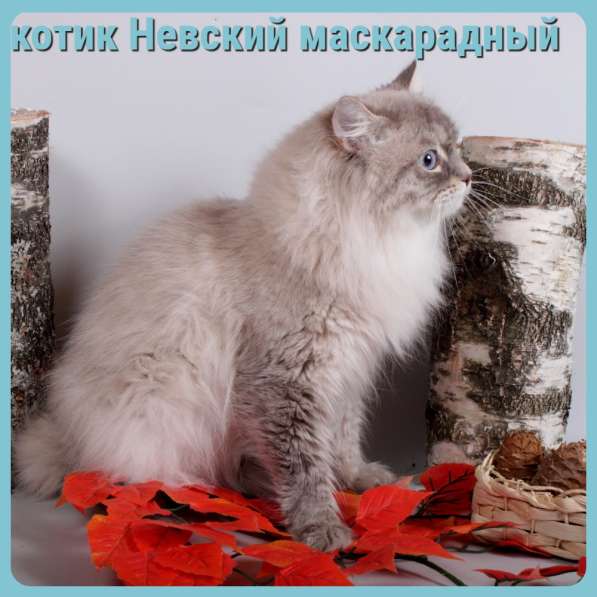 Невский маскарадный