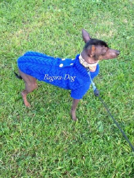 Свитера для собак ручной работы в Москве фото 37