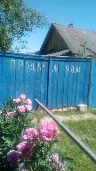 Продается дом в Беларуси Шкловский район, Могилевская обл в фото 13