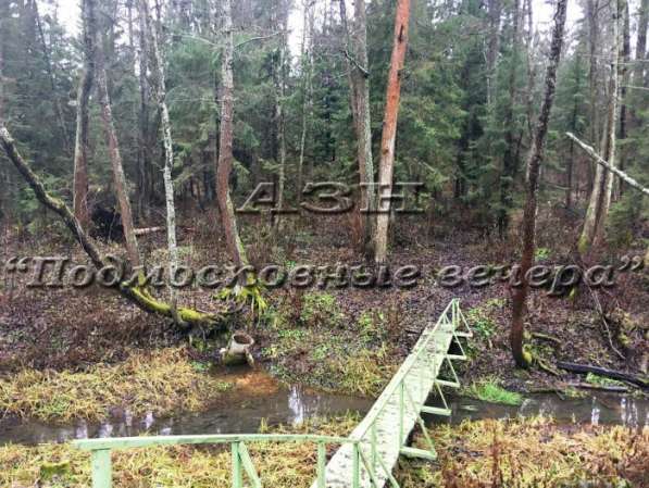 realty_mapper3.plot_in_locationСадовое некоммерческое тов-во. Площадь 8.00 сот.Есть Электричество. в Москве фото 10