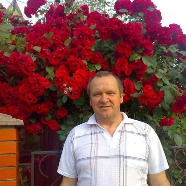 Владимир, 54 года, хочет пообщаться