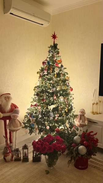 Елка новогодняя в Казани