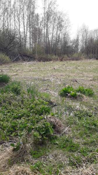 Продается участок в Прокопьевске фото 4