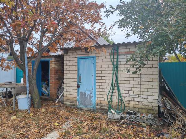 Продам дачу в Елшанке в Саратове фото 8