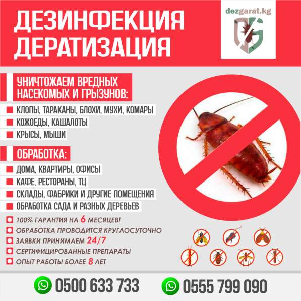 ДЕЗИНФЕКЦИЯ ДЕРАТИЗАЦИЯ в