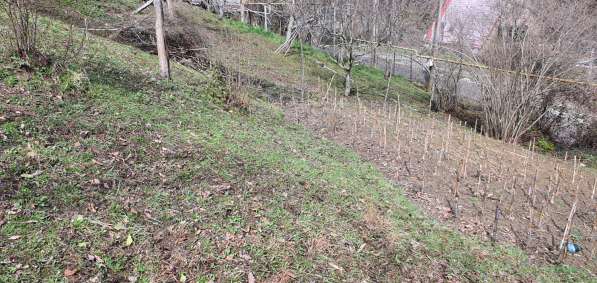 Земля в Сочи в Сочи фото 7