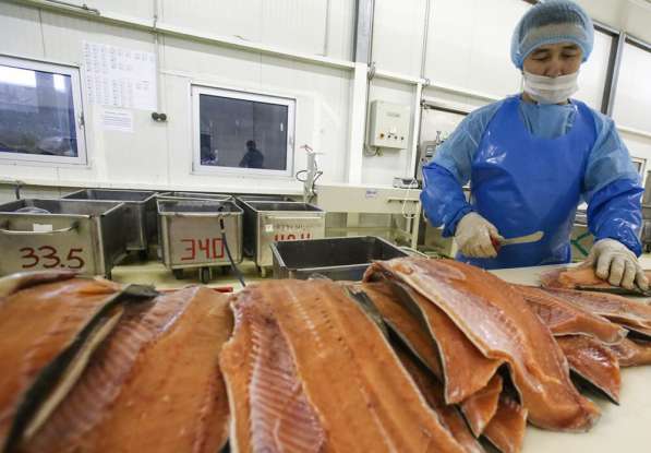 Производство, переработка рыбы и морепродуктов в Москве фото 3