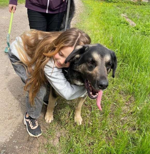 Джек ищет дом! в Москве фото 11