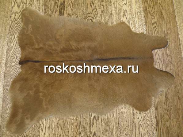 Шкуры телят — практично и недорого в Москве фото 13