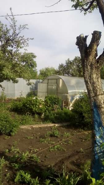Классный сад в СНТ Любитель-2 в Челябинске фото 12