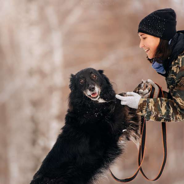 Весёлая, ласковая Чукча ищет семью в Москве фото 17