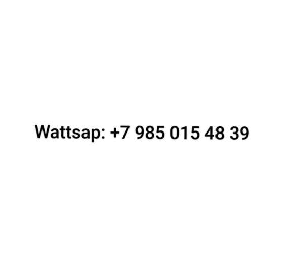 Мопсы щенки 2.5мес в Краснодаре