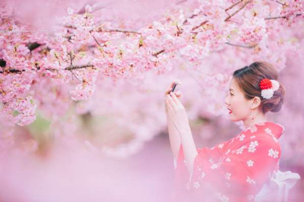 Рассмотрю вакансию Секретарь, администратор в Санкт-Петербурге