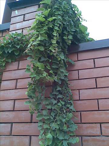 Продам дом в Ростове-на-Дону. Жилая площадь 90 кв.м. в Ростове-на-Дону фото 6