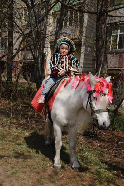 Катание на лошадке-ПОНИ в Кирове