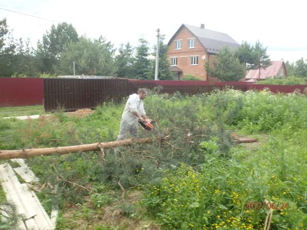 Расчистка от бурелома и опавших деревьев в Щелково в Щелково